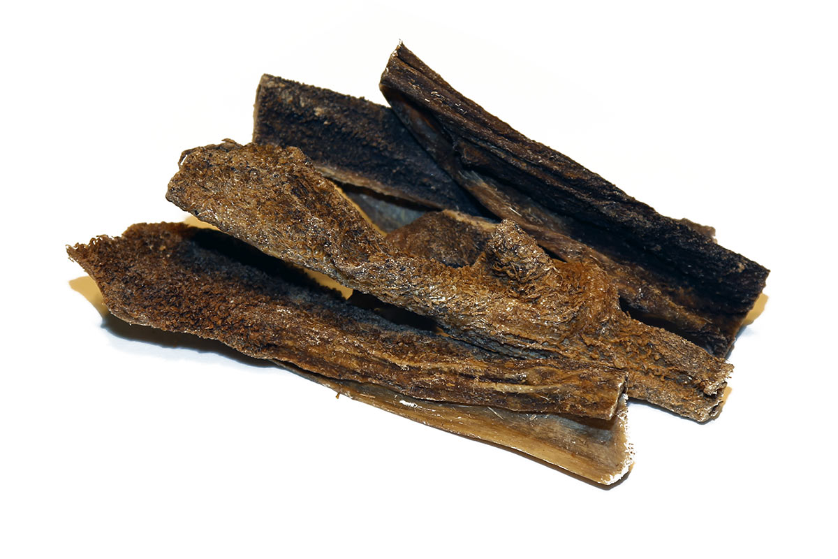 Kamel-Pansen
