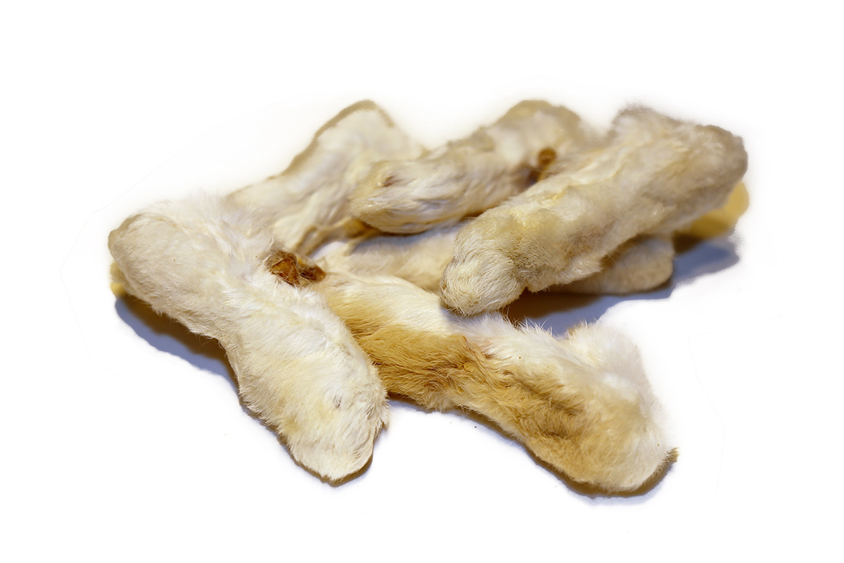 Kaninchenpfoten mit Fell